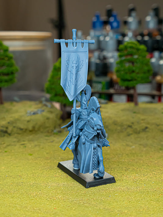 Aegean Elf with Banner ( 2 Miniaturen )