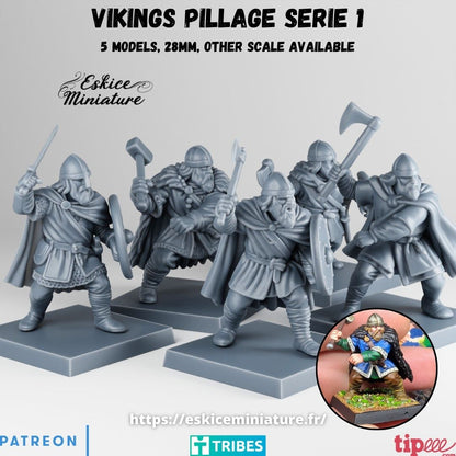 Viking Raiders  ( 5 Miniaturen )