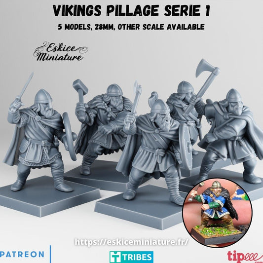 Viking Raiders  ( 5 Miniaturen )