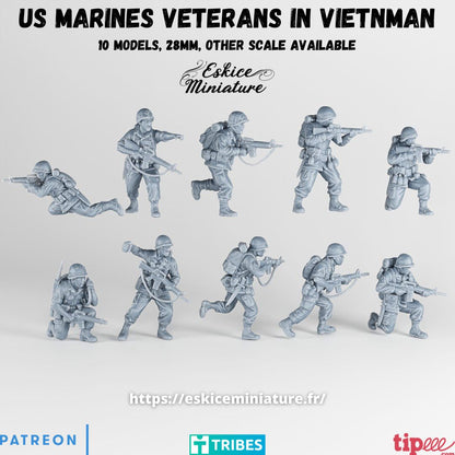 US Marines Veteran ( 10 Miniaturen )