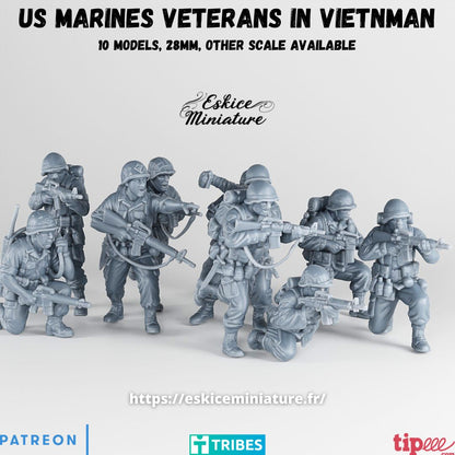 US Marines Veteran ( 10 Miniaturen )