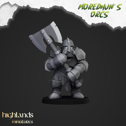 Armoured Orcs ( 13 Miniaturen )