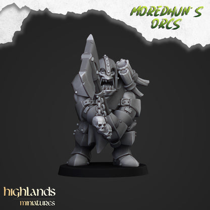 Armoured Orcs ( 13 Miniaturen )