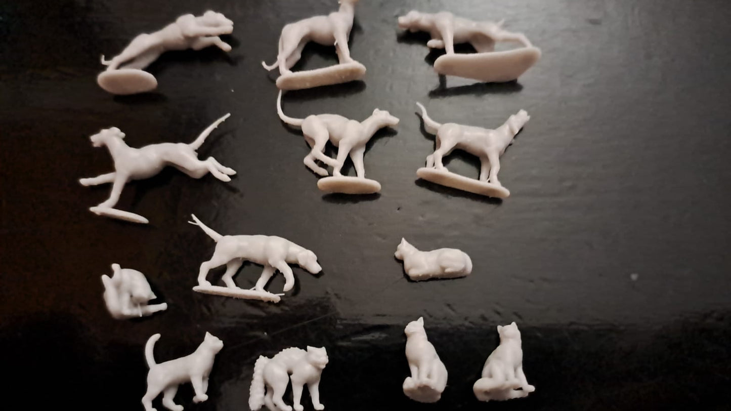 Cats & Dogs ( 13 Pcs )