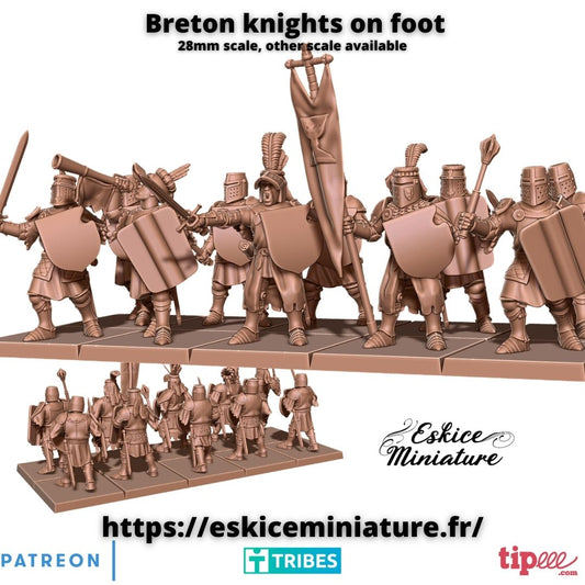 Knights on Foot( 10 Miniaturen )