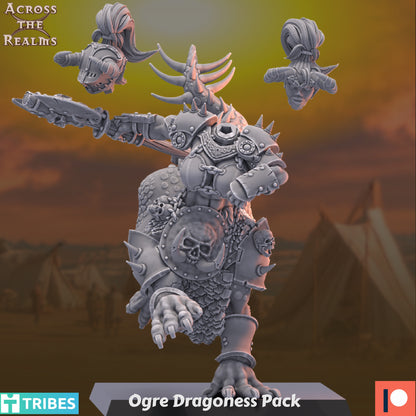 Dragoness Pack ( 3 Miniaturen )