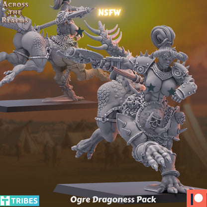 Dragoness Pack ( 3 Miniaturen )