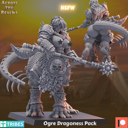 Dragoness Pack ( 3 Miniaturen )