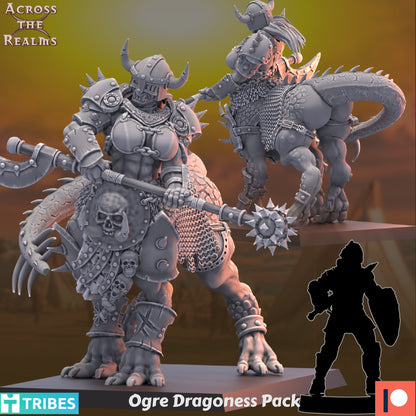 Dragoness Pack ( 3 Miniaturen )