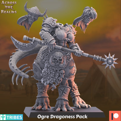 Dragoness Pack ( 3 Miniaturen )