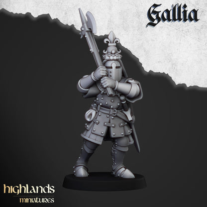 Knights of Gallia zu Fuß ( 11 Miniaturen )