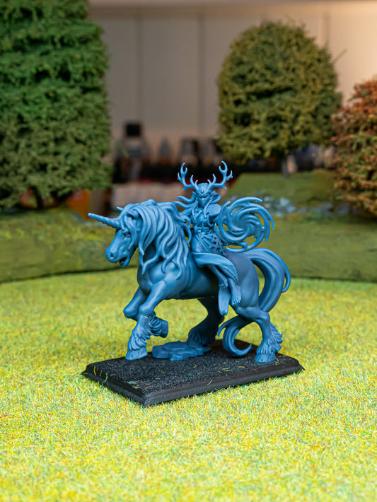 Feral Elf Druid on Unicorn