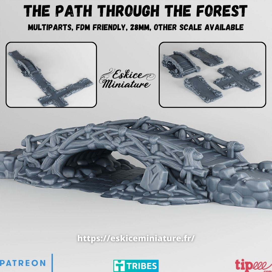 The Path Through the Forest
