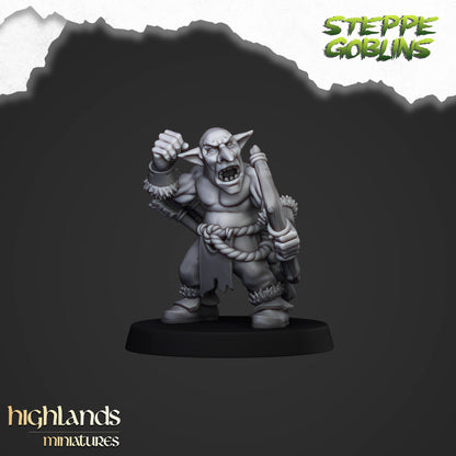 Steppe Goblin Archer ( 5 Miniaturen )