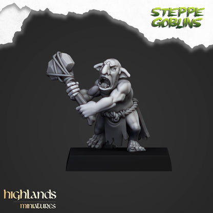 STEPPE GOBLORS ( 12 Miniaturen )