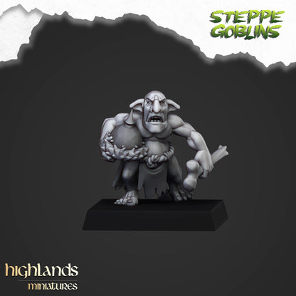 STEPPE GOBLORS ( 12 Miniaturen )