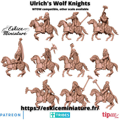 Knights of Ulrich  Set ( 10 Miniaturen )