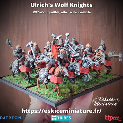 Knights of Ulrich  Set ( 10 Miniaturen )