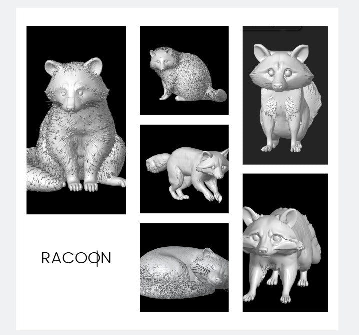 Racoons ( 10 Pcs )