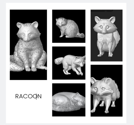 Racoons ( 10 Pcs )