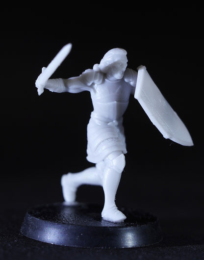 Veteran Swordmen of the White City ( 5 Miniaturen )
