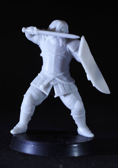 Veteran Swordmen of the White City ( 5 Miniaturen )