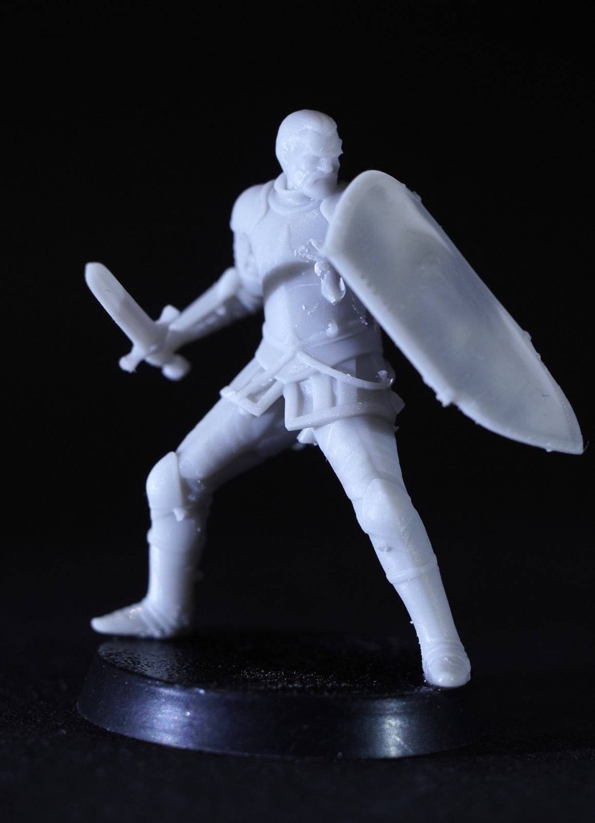 Veteran Swordmen of the White City ( 5 Miniaturen )