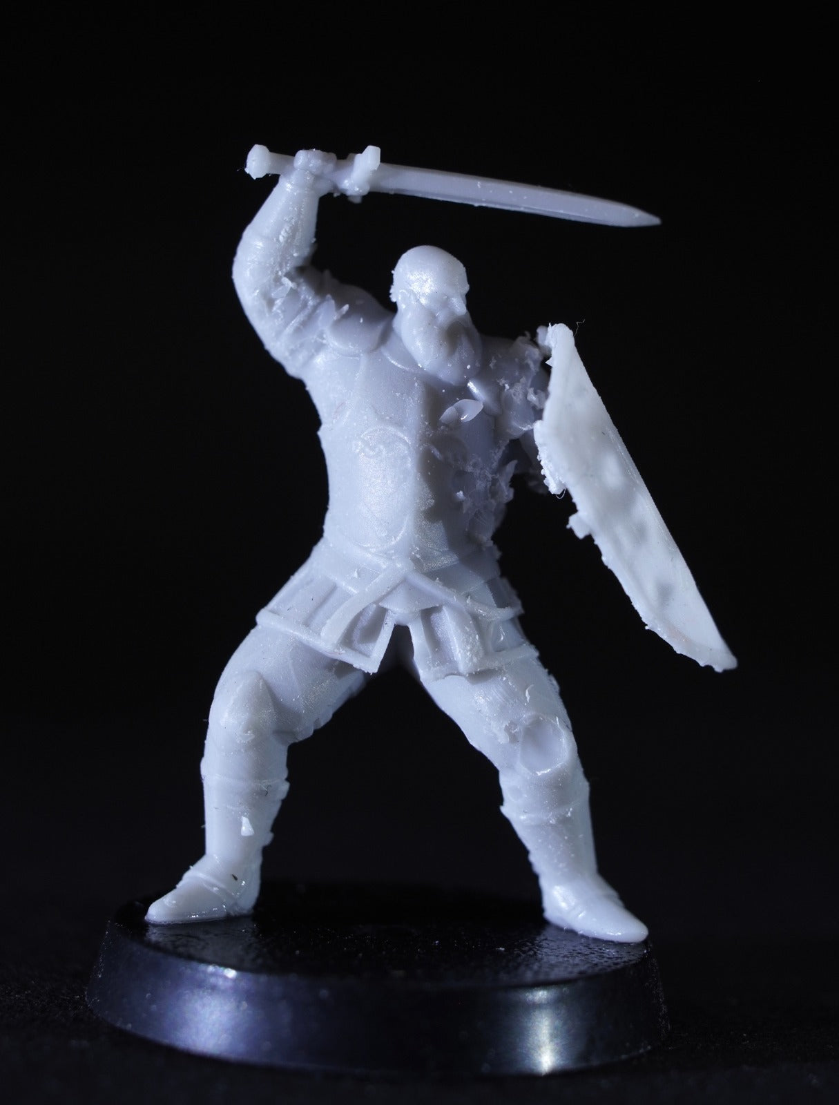 Veteran Swordmen of the White City ( 5 Miniaturen )