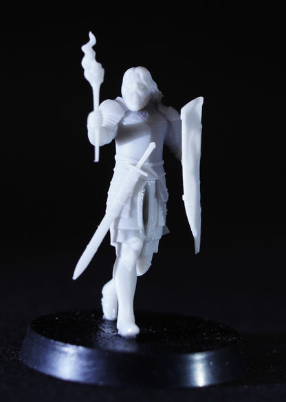 Veteran  Patrol of the White City ( 2 Miniaturen )