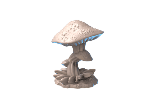 fungi scatter V2