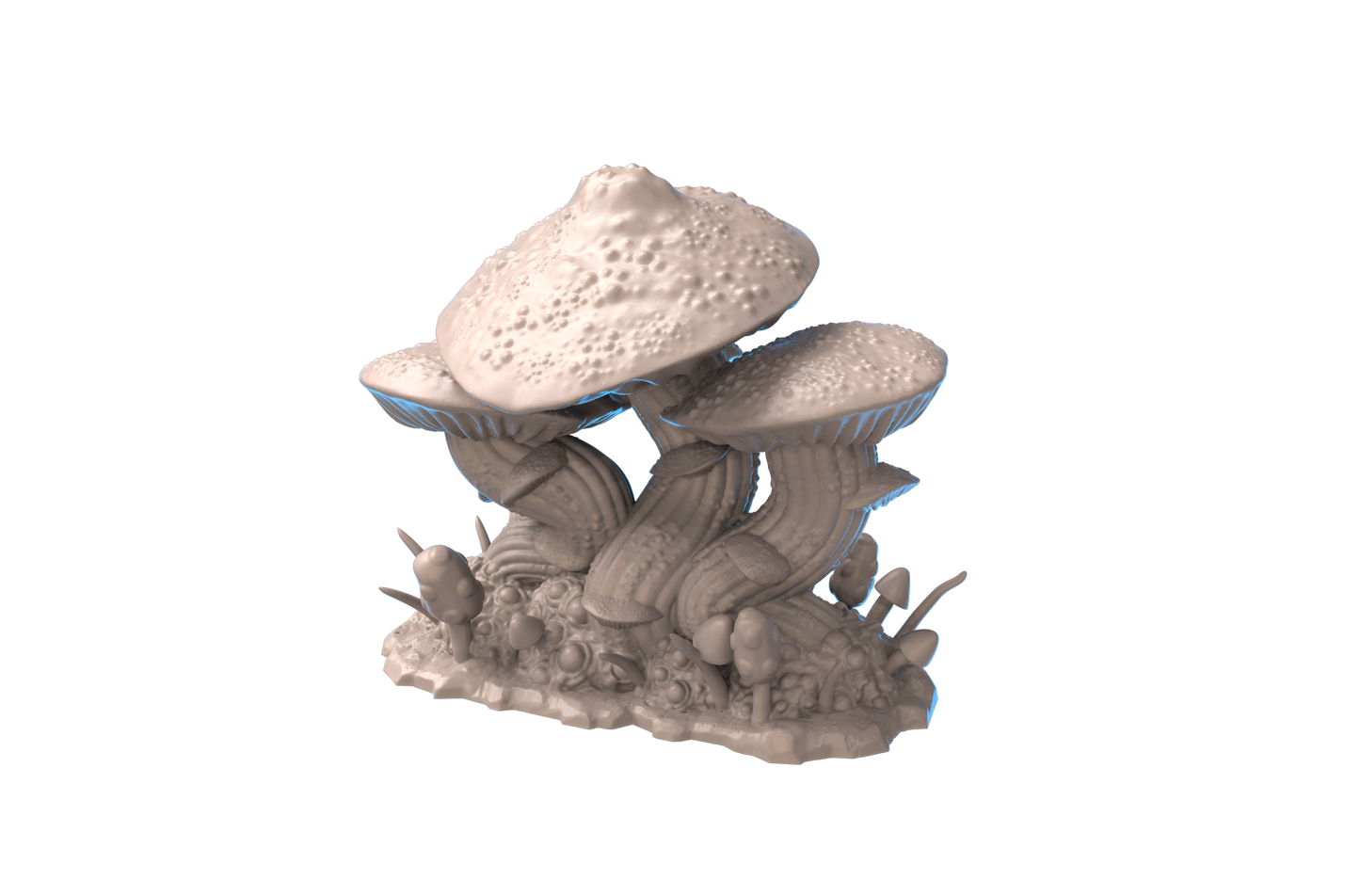 fungi scatter V4