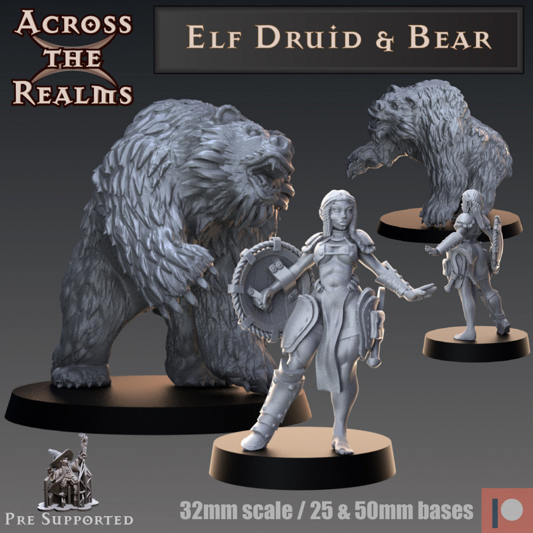 Elf Druid with Bear