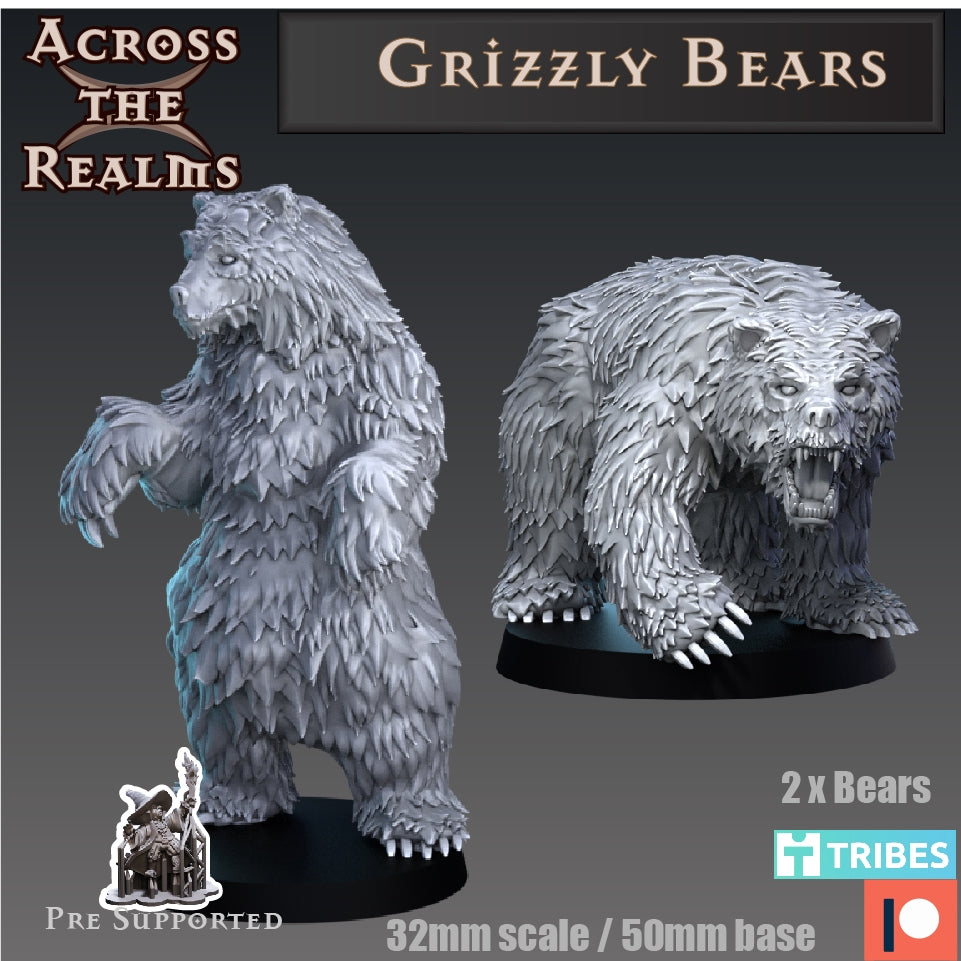 Grizzly Bär stehend