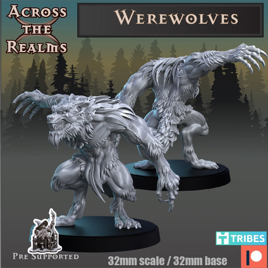 Werwolf 1