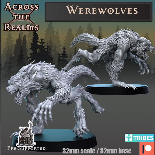 Werwolf 2