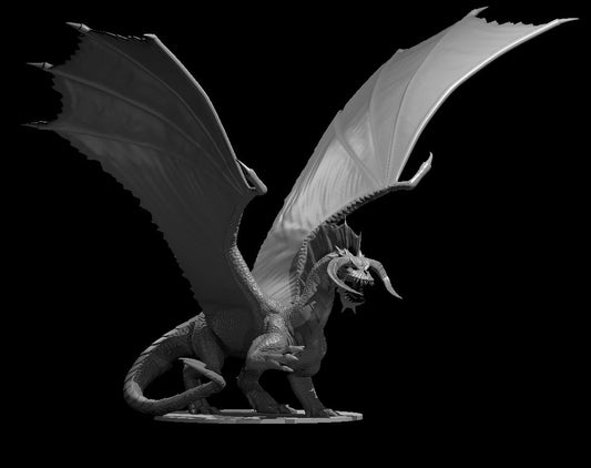 Adult Black Dragon