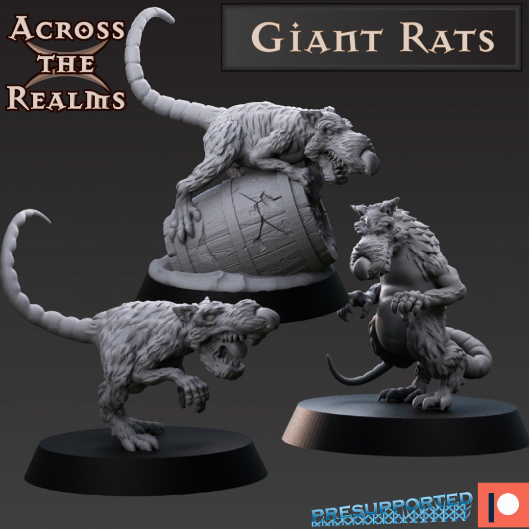 3 Giant Rats